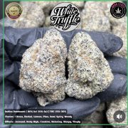 Изображение WhatsApp 2025-10-27 в 11.31.02_cf0d1a97