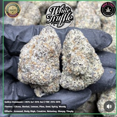 Изображение WhatsApp 2025-10-27 в 11.31.02_cf0d1a97