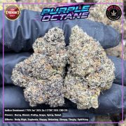 Изображение WhatsApp 2025-10-28 в 11.32.08_d679238d