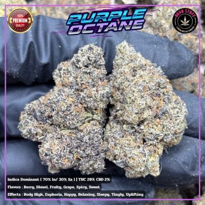 Изображение WhatsApp 2025-10-28 в 11.32.08_d679238d