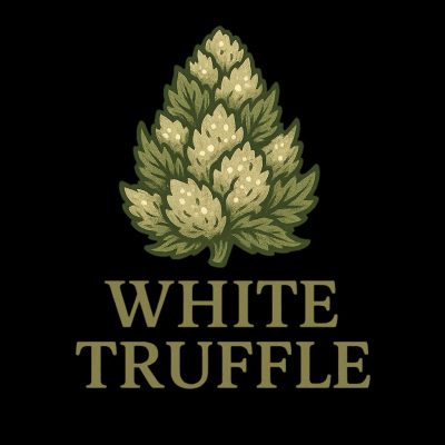 Изображение WhatsApp 2025-10-28 в 11.45.07_2ee33edc