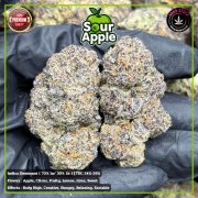 Изображение WhatsApp 2025-10-28 в 12.07.50_5d27ec4f