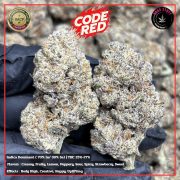 Изображение WhatsApp 2025-10-28 в 12.19.42_cf9a6387