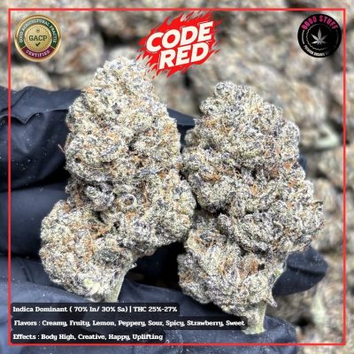 Изображение WhatsApp 2025-10-28 в 12.19.42_cf9a6387