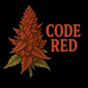 Изображение WhatsApp 2025-10-28 в 12.20.50_4c0c9466 Изображение WhatsApp 2025-10-28 в 12.20.50_4c0c9466