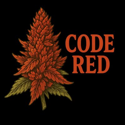 Изображение WhatsApp 2025-10-28 в 12.20.50_4c0c9466