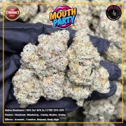 Изображение WhatsApp 2025-11-12 в 12.34.04_b7776309