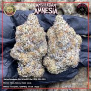 Изображение WhatsApp 2025-11-16 в 18.38.12_0dff033c