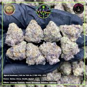 Изображение WhatsApp 2025-11-16 в 18.46.19_5e40a023