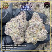 Изображение WhatsApp 2025-12-01 в 11.53.06_184c9cb1