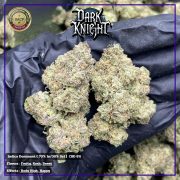 photo_2026-02-04_14-04-13