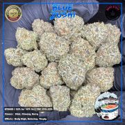 photo_2026-02-04_14-04-22