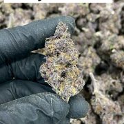 photo_2026-02-04_14-04-29