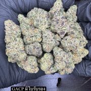 photo_2026-02-04_14-13-49