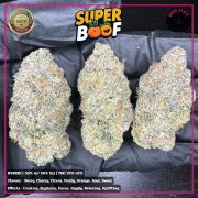 photo_2026-02-04_14-13-57