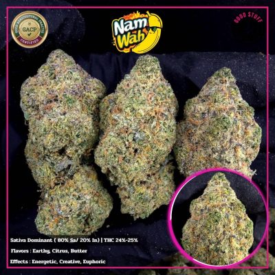 WhatsApp Image 2026-01-20 at 16.43.28 (1)