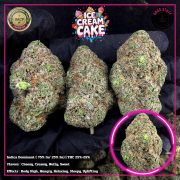 WhatsApp Image 2026-01-20 at 16.43.28