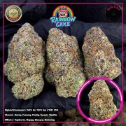 WhatsApp Image 2026-01-20 at 16.43.29 (2)