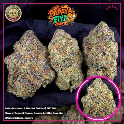 WhatsApp Image 2026-01-20 at 16.43.29