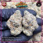 WhatsApp Image 2026-01-20 at 16.43.30 (1)