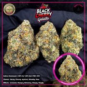 WhatsApp Image 2026-01-20 at 16.43.30