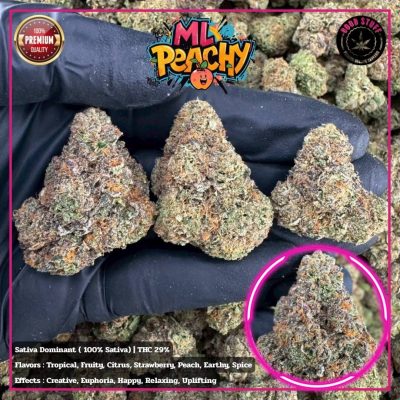 WhatsApp Image 2026-01-21 at 21.52.21