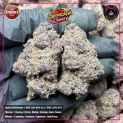 WhatsApp Image 2026-01-21 at 22.12.43