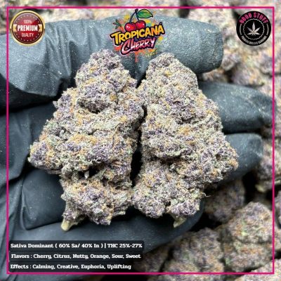 WhatsApp Image 2026-01-21 at 22.12.43