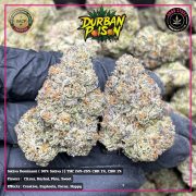 WhatsApp Image 2026-01-21 at 22.19.54