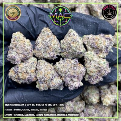 WhatsApp Image 2026-01-21 at 22.32.12