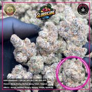 WhatsApp Image 2026-01-21 at 22.49.19