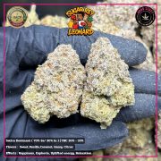 WhatsApp Image 2026-01-22 at 21.10.22