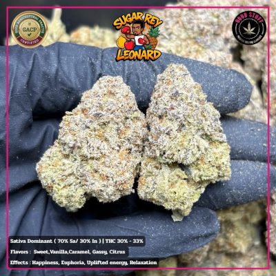 WhatsApp Image 2026-01-22 at 21.10.22